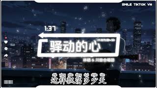 Download lagu 林栖 & 川音合唱团 - 驿动的心 (合唱版) (抖音热播DJ版) Yi Dong De Xin『曾经以为我的家，是一张张的票根，撕开后展开旅程。』【2k26抖音火流行歌曲推荐TikTok】 mp3