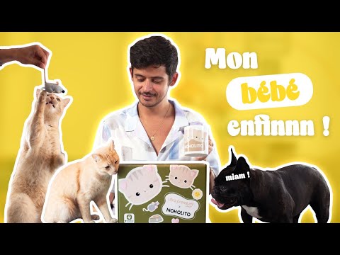 Episode 214 : Mon bébé est enfin là