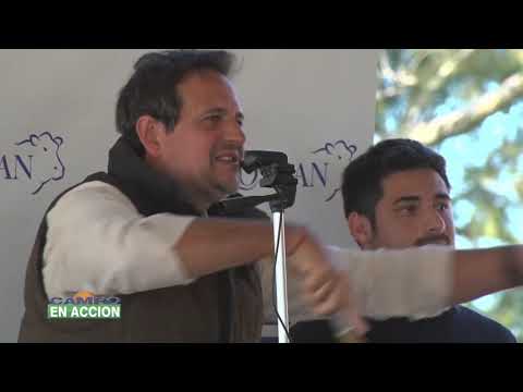 Remate 2021: comentarios de Diego Barcia Holzer