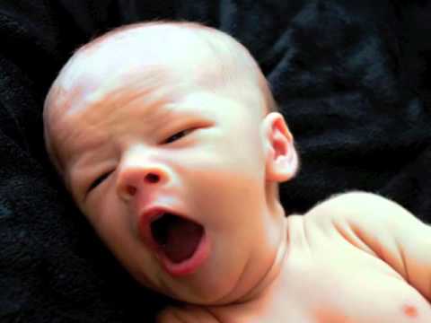 Edgeton Photography, Life in Focus: Babies and Children