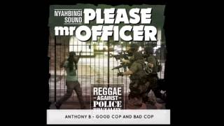 Please Mr Officer by Nyahbingi Sound - Reggae Against Police Brutality