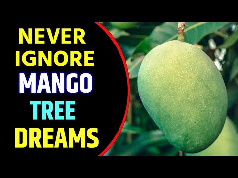 Mango Tree in Dream Meaning | Mango Tree Dream Interpretation