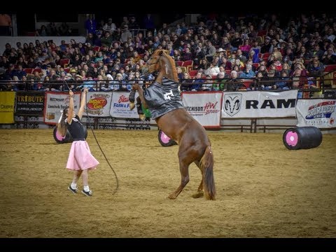 Kimber's 90 Day Mustang Makeover Journey