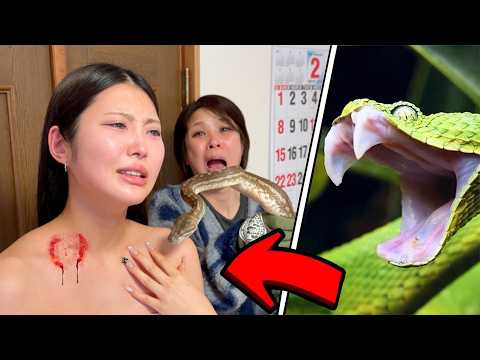 youtube-エンタメ記事2020/06/07 16:00:20