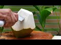 Super Satisfying Coconut Opening Skills ASMR