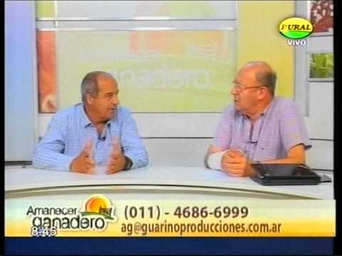Sábado 15/02/14 con Alfredo Guarino  en Amanecer Ganadero Canal Rural
