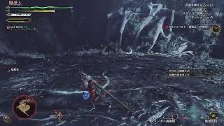 [モンハンワイルズ]歴戦王アルシュベルド！