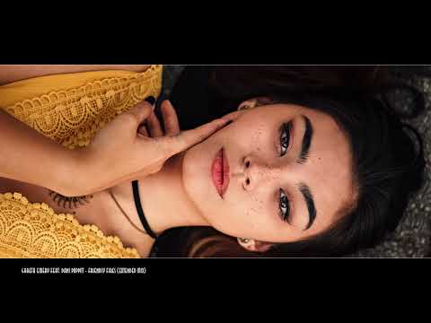 Gareth Emery Feat. Dani Poppitt - Friendly Fires (Extended Mix) (HQ Audio)