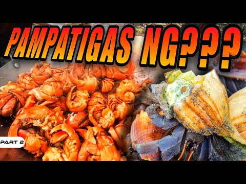 P2 - Hermit Crab Catch and Cook - EP1497