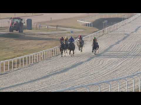 2021.11.21. 07. futam - JENEY ISTVÁN EMLÉKVERSENY - KINCSEM PARK DÍJA (I.kat.) (szintetikus pálya)