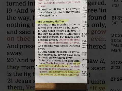 Mathew 21:1-32 | Holy Bible | KJV