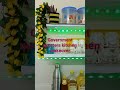 Small Kitchen Makeover Rental Friendly Kitchen Makeover