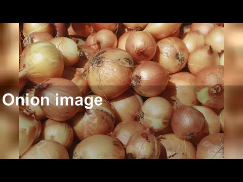 , title : 'Onion: Experts weigh in on health benefits, nutrition facts, and more'