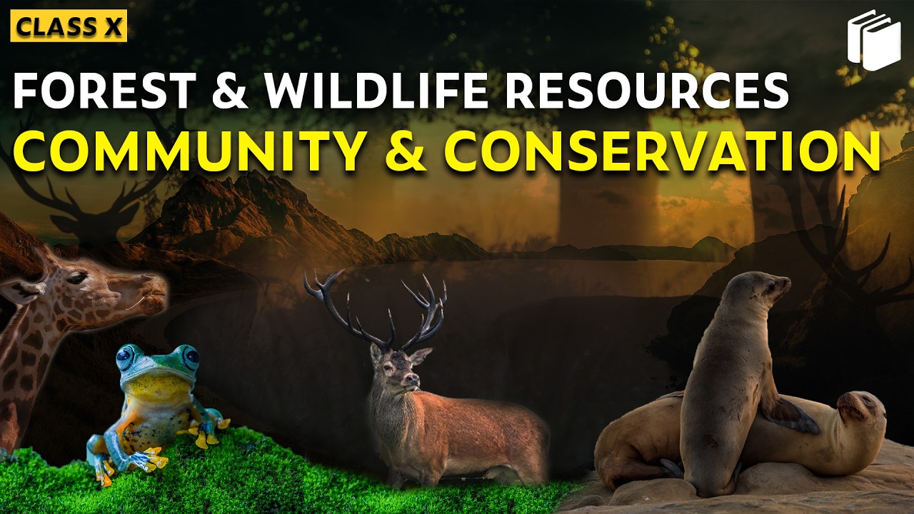 Community & Conservation | Forest & Wildlife Resources | Chapter 2 - Geography | Class 10 | PuStack