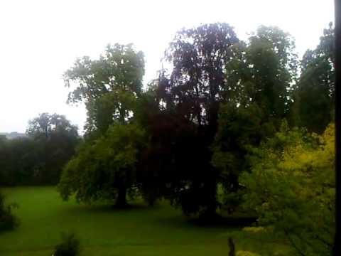 Start eines Rettungshubschraubers im Schlosspark Hemmingen