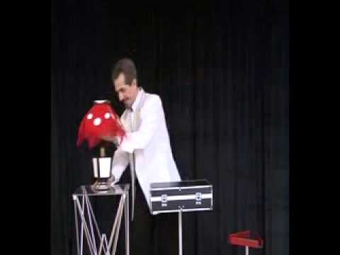 Flower Vase to Nightlamp #3 w/ DVD - Tora