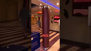 Exploring the Red Frog Pub on Carnival Breeze! #shorts