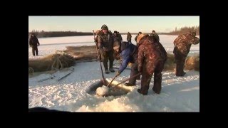 Подледная рыбалка в якутии фото
