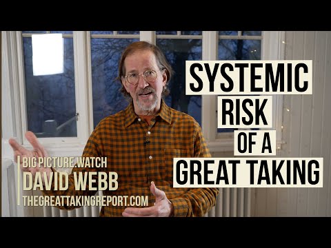 David Webb | Systemic Risks of a Great Taking | BIGPICTURE.WATCH