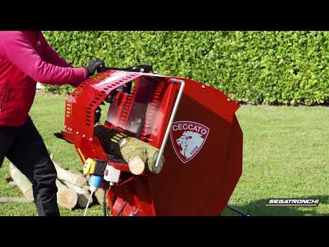 SEGATRONCHI ELETTRICA MONOFASE - CECCATO OLINDO