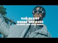 Bad Bunny - Where She Goes (Almero 5am Afro House Remix)