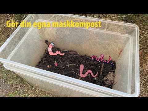 Knattelabbet bygger maskkompost!