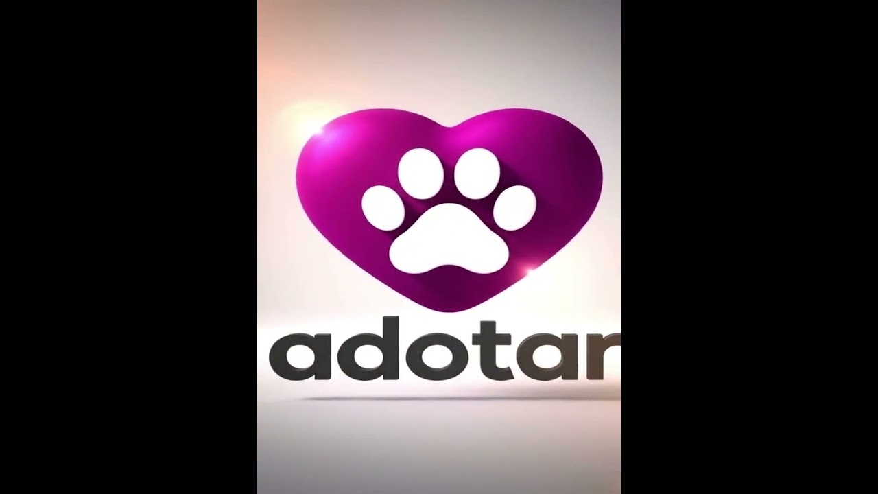Cachorro raça SRD-ViraLata idade 1 ano nome nina