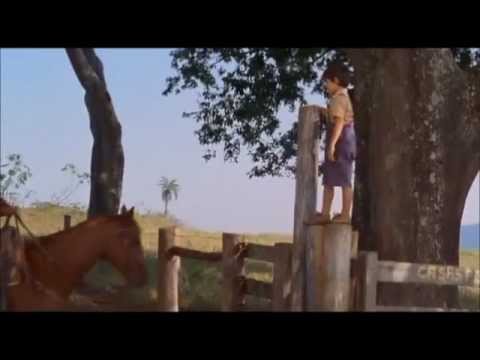 Toca o Berrante Seu Moço