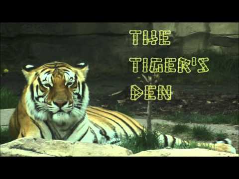 April 6th Power Trading Hour with David White on TFNN - 2016