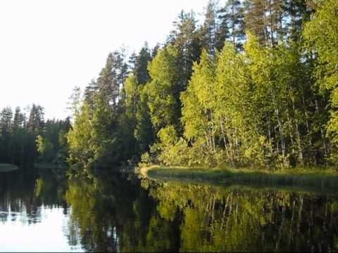 Jokimaisemia Suonenjoella kesäkuussa 2010