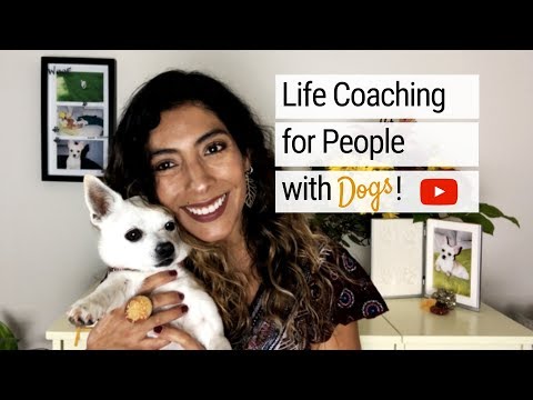 MonchiPaw | Life Coaching for People with Dogs