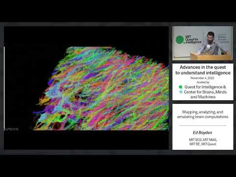 Mapping, analyzing, and emulating brain computations