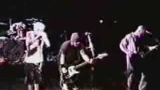 Snot - tecato      live in Washington    (11-30-97)