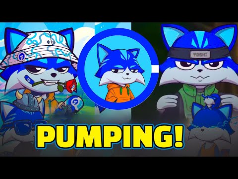 $TOSHI (And Market) Are Heating Up....