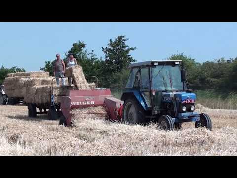 Landb. Mermuys - Vlissegem - Ford 4630 - Welger AP 500