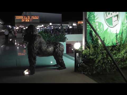 Сохо.Египет (Soho,Egypt)