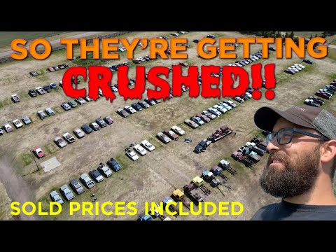 NOBODY Wanted These 200 Classics at Auction for $75 Each!