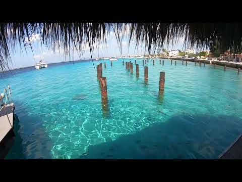 Bonaire Is Incredible, The Dutch Caribbean Islands