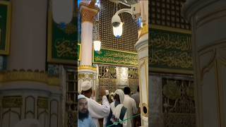 Download lagu The most beautiful view 🙌🌹#madina #love #prophet #muhammadﷺ #salam #rasoolallah #ytshorts #shorts mp3