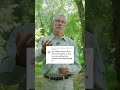 Should You Use Rubbing Alcohol To Remove A Tick Tick Expert Advice