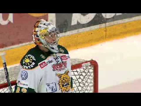 SM- LIIGA molareita kaudella 2010-2011