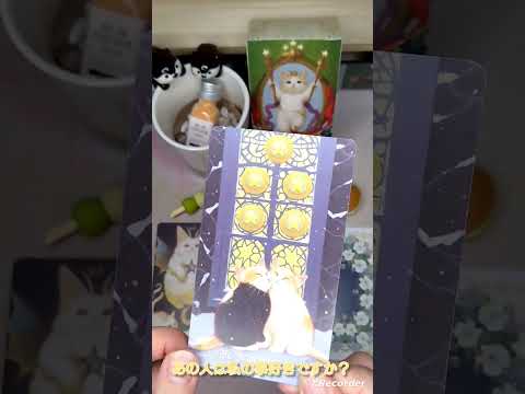 タロットリーディングをしています イメージ1