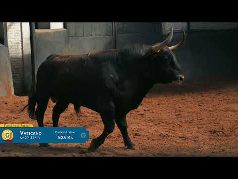 SORTEO | Toros de El Torero, corrida 22 mayo