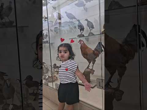 أصوات الحيوانات !