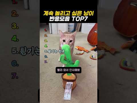 내가 나쁜게 아냐. 니가 귀여운거야