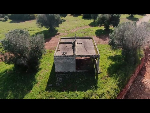 PRESTIGIOSE VILLETTE IMMERSE NEGLI ULIVI