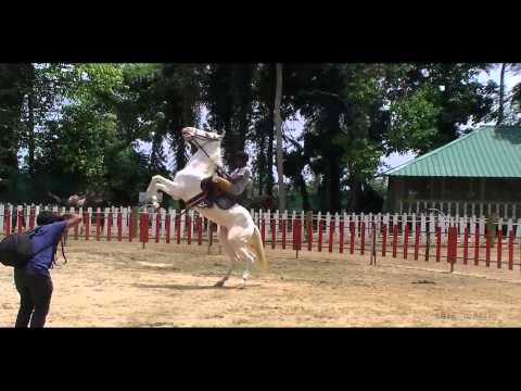 download lagu mp3 mp4 Ample Technologies Kochi, download lagu Ample Technologies Kochi gratis, unduh video klip Ample Technologies Kochi