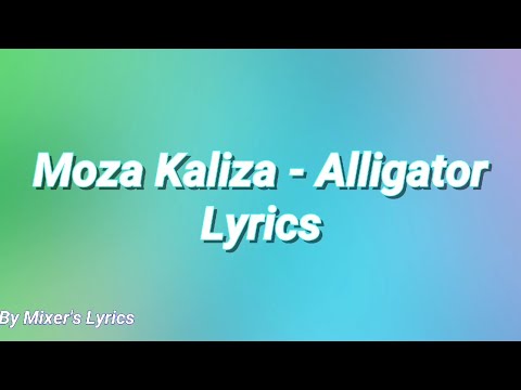 Moza Kaliza - Alligator (lyrics video)