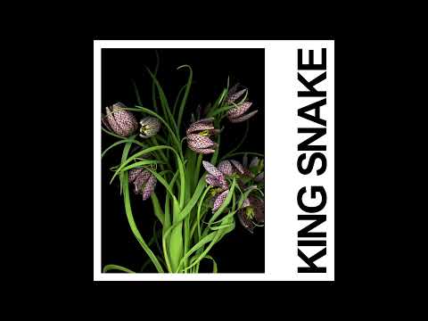 Video thumbnail for King Snake