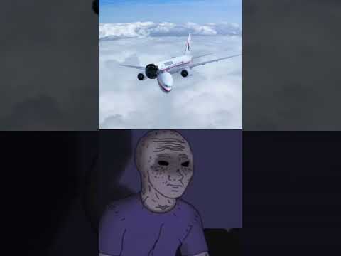The crash of MH17 #aviation #malaysia #malaysianairlines #mh17 #planecrash #rip #boeing777 #shorts